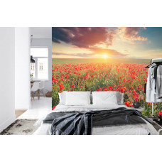Eine Fototapete mit einem schönen Feld von Mohnblumen bei Sonnenuntergang, angezeigt in einem Schlafzimmer.