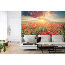 Eine Fototapete mit einem Feld von Mohnblumen im warmen Licht des Abends, angezeigt in einem Wohnzimmer.