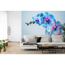 Eine Fototapete mit bunten Orchideen in einer natürlichen Umgebung, die in einem Wohnzimmer angezeigt wird.