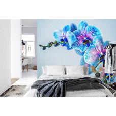 Eine Fototapete mit exotischen Orchideenblüten, die in einem Schlafzimmer angezeigt wird.