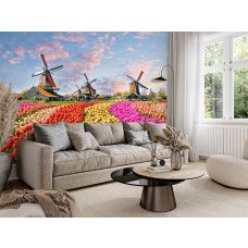 Fototapete mit einer typisch niederländischen Landschaft voller blühender Tulpen im Wohnzimmer.