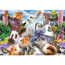 Hamster und Murmeltiere in einem verrückten Rennen, Fototapete mit Nagetieren für einen fröhlichen Look.