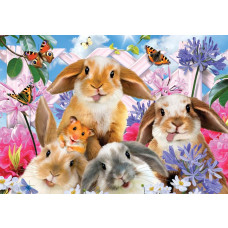 Nagetiere in einem verrückten Rennen, Fototapete mit Kaninchen, Hamstern und glücklichen Tieren.