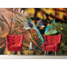 Fototapete mit Nahaufnahme eines Komodowarans, ideal für das Wohnzimmer.