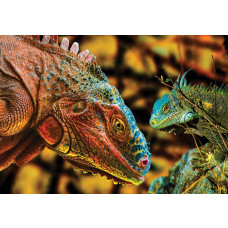 Komodowaran in Zooumgebung auf realistischer Tierfototapete.