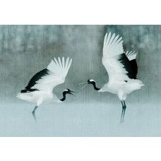 Fotobehang met geschilderde kraanvogels in grijze tinten