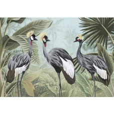 Eine Fototapete mit Kranichen im Dschungel, mit einem Fokus auf die exotische Umgebung und Tiere.