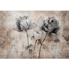 Kunstvolle Fototapete von Rosen vor einem Betonhintergrund, mit einem eleganten Blumenmuster.