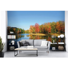 Eine Fototapete von einem See mit Wald in einer Landschaft, die im Wohnzimmer zu sehen ist.