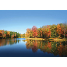 Fototapete von einem See umgeben von Wald, mit einer friedlichen Atmosphäre.