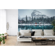 Eine atemberaubende Fototapete des O'Hara-Sees mit natürlichen Elementen, geeignet für ein Wohnzimmer.