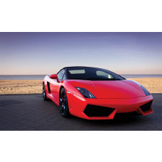 Fototapete mit einem roten Lamborghini am Meer, Sportwagen in einer exotischen Landschaft.