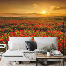 Ein Fototapete mit einer friedlichen Naturdarstellung von Mohnblumen und sanften Sonnenuntergangsfarben in einem Esszimmer.