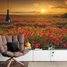Ein Fototapete mit einem weiten Mohnblumenfeld bei Sonnenuntergang, perfekt für ein Wohnzimmer.