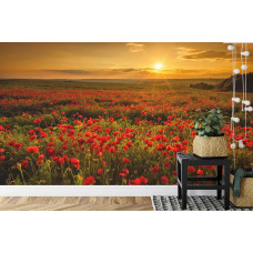 Ein Fototapete mit einer malerischen Landschaft von Mohnblumen und einem warmen Sonnenuntergang in einer Küche.