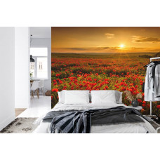 Ein Fototapete mit einem beruhigenden Blick auf ein Mohnblumenfeld im Abendlicht in einem Schlafzimmer.