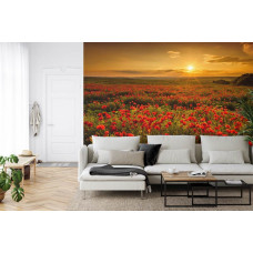 Ein Fototapete mit einer stimmungsvollen Sonnenuntergang über einem Mohnblumenfeld, ideal für ein Wohnzimmer.