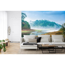 Eine natürliche Fototapete einer nebligen Waldlandschaft, perfekt für ein Wohnzimmer.