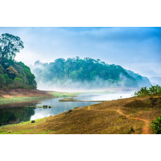 Fototapete einer Landschaft, in der ein nebliger Wald die Hügel bedeckt, mit einer heiteren und ruhigen Atmosphäre.