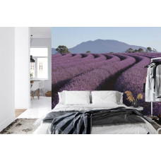 Ein Fototapete mit einem beruhigenden Lavendelfeld in den Bergen, dargestellt in einem Schlafzimmer.