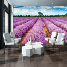 Eine Fototapete mit Lavendelblüten auf einer Heide in einer Wiesenlandschaft, zu sehen im Wohnzimmer.