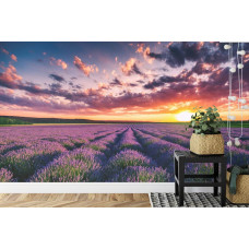 Eine Fototapete, die ein ruhiges Lavendelfeld bei Sonnenuntergang in einem Esszimmer zeigt.