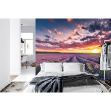 Eine Fototapete, die ein Lavendelfeld in der Abenddämmerung in einem Schlafzimmer zeigt.