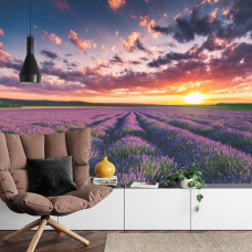 Eine Fototapete, die eine beruhigende Lavendellandschaft bei Sonnenuntergang in einem Wohnzimmer zeigt.