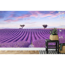 eine Fototapete, die ein Lavendelfeld voller Blumen in einem Esszimmer zeigt.