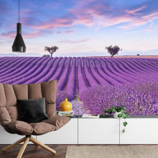 eine Fototapete, die ein üppiges Lavendelfeld in einem Wohnzimmer zeigt.