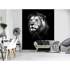Eine Fototapete mit einem vertikalen Bild eines Löwen in Schwarz-Weiß, geeignet für ein stilvolles Wohnzimmer.