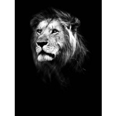 Löwe in einem vertikalen Schwarz-Weiß-Design, mit starken Kontrasten, die die Stärke des Tieres auf dieser Fototapete hervorheben.