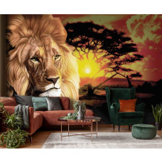 Eine Fototapete mit einem Löwen bei Sonnenuntergang in einer afrikanischen Landschaft für das Wohnzimmer.