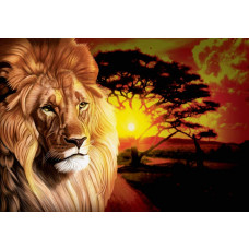 Fototapete mit einem Löwen bei Sonnenuntergang in einer afrikanischen Landschaft.
