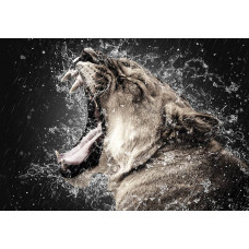 Fototapete mit einer Löwin im Regen, ein kraftvolles und dynamisches Bild der Natur.