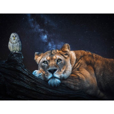 Löwin, Eule und Löwe kombiniert auf einer tierischen Fototapete, mit starken Details und reichen Texturen.