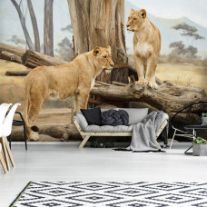 Eine Fototapete von Löwinnen in afrikanischer Natur auf dem Display im Wohnzimmer.