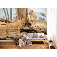 Eine Fototapete von Löwinnen in afrikanischer Natur auf dem Display im Wohnzimmer.