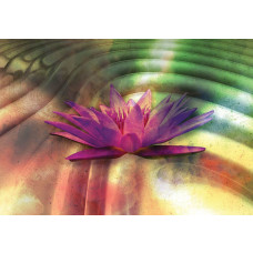 Fototapete mit Lilienblumen, 3D-Effekt mit weichen Farben und Texturen.