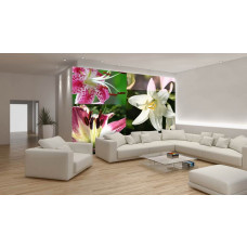 Eine Fototapete mit abstraktem Design von Lilien und Pflanzen in einem künstlerischen Muster.