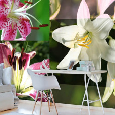 Eine Fototapete mit abstrakten Lilien und Pflanzen in einem farbenfrohen Design, ideal für ein Büro.