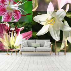 Eine Fototapete mit Lilien und Pflanzen in einem abstrakten Design, geeignet für ein modernes Wohnzimmer.