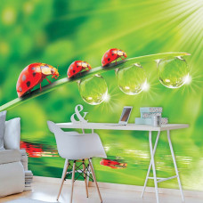 Eine Fototapete mit Marienkäfern in natürlicher Umgebung für das Büro.