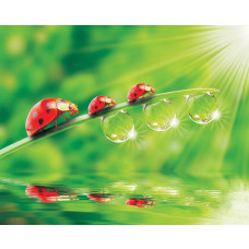 Fototapete mit Dschungeltieren für Kinderzimmer, farbenfroh und abenteuerlich.