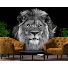 Fototapete eines Löwen in freier Wildbahn, geeignet für das Wohnzimmer.