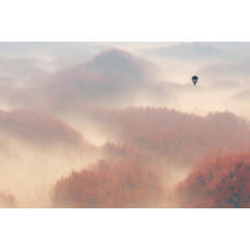 Eine Fototapete mit einem Heißluftballon, der über einem nebligen Wald schwebt, mit Bäumen, die im Dunst verschwinden.