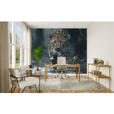 Fototapete mit Leoparden im Regenwald in einem modernen Büro, mit natürlichen Farben, die Kraft und Eleganz verbinden.