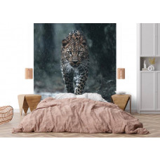 Fototapete mit Leopardenmuster im tropischen Regenwald in einem Schlafzimmer, wo die geheimnisvolle Atmosphäre Ruhe und Abenteuer miteinander verbindet.