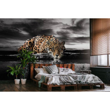 Eine Fototapete mit Leopard, Panther, Gepard, Gepard und Jaguar in einem ruhigen Schlafzimmer.