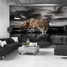 Eine Fototapete mit Leopard, Panther, Gepard, Gepard und Jaguar, geeignet für ein stilvolles Wohnzimmer.